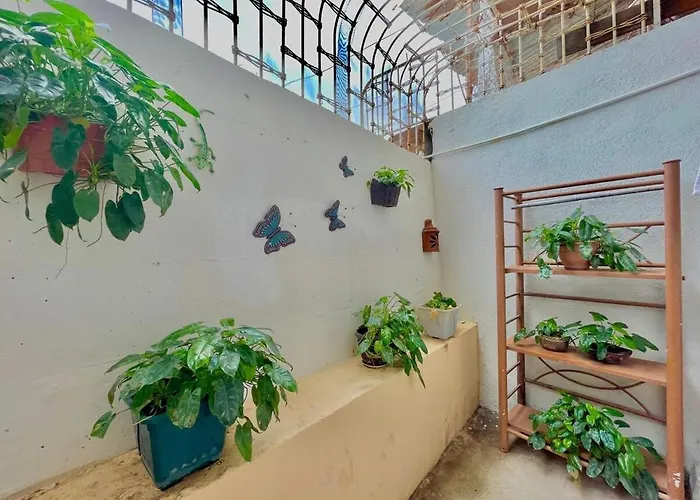 Casa Miss Mercedes, Calle Adelita, Ground Floor