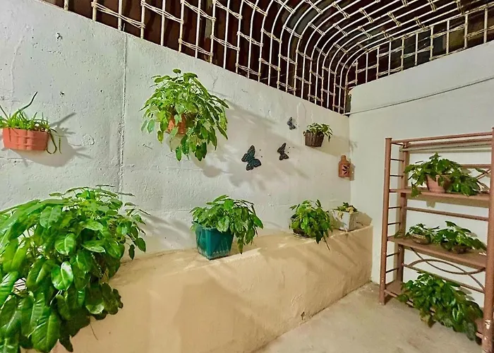 Casa Miss Mercedes, Calle Adelita, Ground Floor Сasa de vacaciones Zihuatanejo