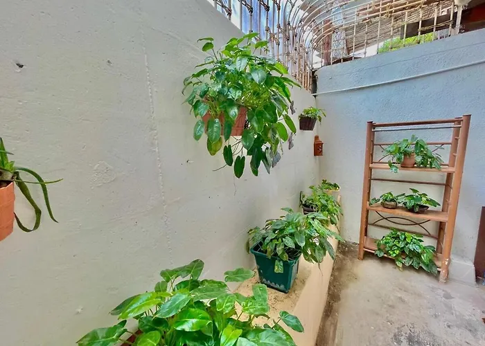 Casa Miss Mercedes, Calle Adelita, Ground Floor Zihuatanejo
