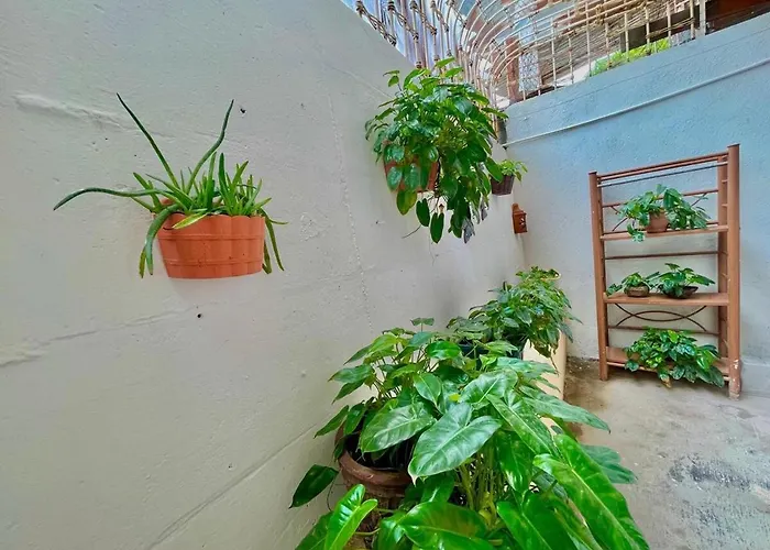 Сasa de vacaciones Casa Miss Mercedes, Calle Adelita, Ground Floor *